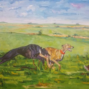 Galgos